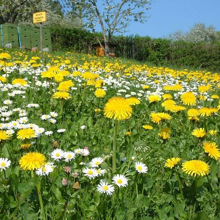Ferienwohnungen "Allerleigruen" Langenroda Ngoại thất bức ảnh