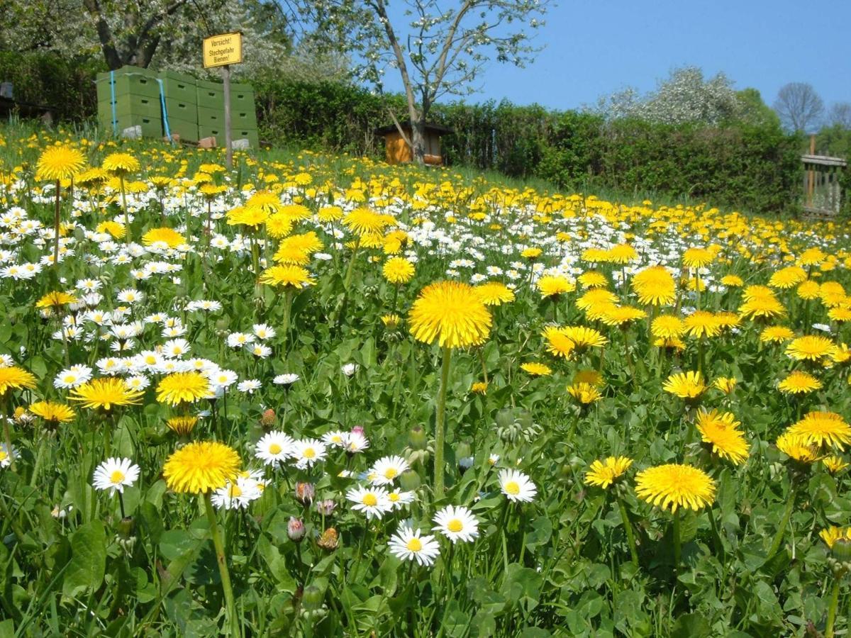 Ferienwohnungen "Allerleigruen" Langenroda Ngoại thất bức ảnh